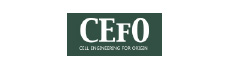 CEFO